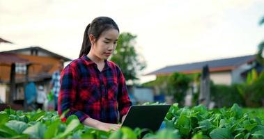 Handheld-Schuss, junge weibliche Landwirtschaftskleidung mit kariertem Hemd, die Laptop verwendet, während sie auf einem Bio-Bauernhof arbeitet, grünes Blatt überprüft und mit einem glücklichen, intelligenten Landwirt mit Technologie-Gerätekonzept lächelt