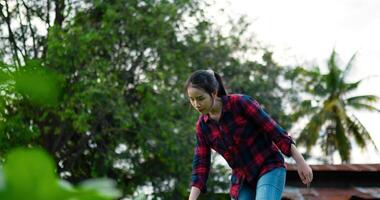 Handheld shot, young Female Agricultural Wear plaid shirt use watering can pour water on green vegetable while Working in organic farm video