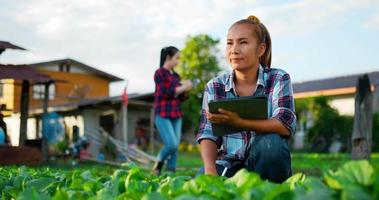 una joven mujer agrícola usa una camisa a cuadros que usa un bolígrafo digital y una tableta para verificar la siembra mientras trabaja en una granja orgánica, su hermana joven camina detrás, una agricultora inteligente con el concepto de dispositivo tecnológico
