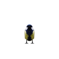 3D Kohlmeise Vogel isoliert png