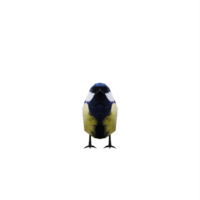 3d Super goed tit vogel geïsoleerd png