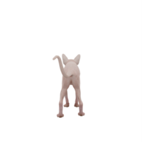 gato sphynx 3d isolado png