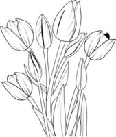 Easy sketch art of tulip flowers bouquet, floral line art hand drawn illustration, Eustoma flowers drawing coloring page, and book isolated image clip art botanic collection. vector