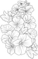 Geranium flower drawing hand draw flower vase  illustration, vector sketch, pencil art, decorative bouquet of floral coloring page, and book isolated on white background clipart.