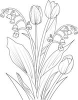 Hand-drawn tulip flower bouquet vector sketch illustration engraved ink art botanical leaf branch collection isolated on white background Greenland Tiulip coloring page and books.