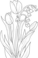 Isolated tulip flower hand drawn vector sketch illustration, botanic collection branch of leaf buds natural collection coloring page floral bouquets engraved ink art.