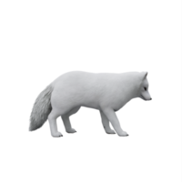 3d white Arctic Fox png