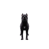 3d cane corso png