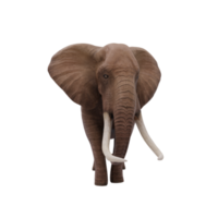elefante africano 3d isolado png