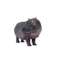 hipopótamo 3d isolado png