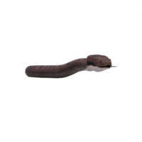 3d viper snake isolated png