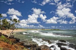 caña de pescar en el paisaje de la playa de hawaii poipu foto