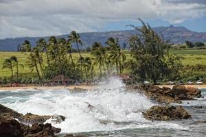 Waves on Hawaii beach panorama photo