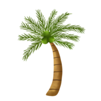 ilustración de árbol de coco png