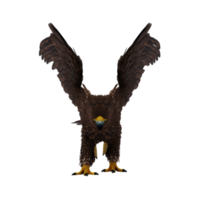 greif oder griffon ein sagenumwobenes wesen mit dem körper eines löwen, dem kopf und den flügeln eines adlers png