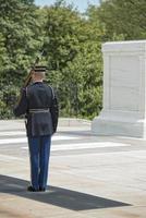 honor guard arlington cemetery graveyard photo