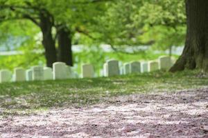 arlington cemetery graveyard photo