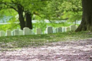 arlington cemetery graveyard photo