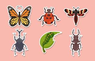colección de pegatinas de insectos de primavera para plantillas de revistas vector