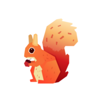 Cute squirrel in flat style png