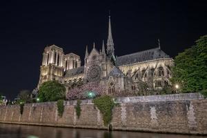 notre dame paris night view photo