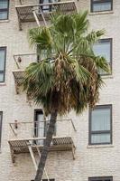 Rusted Fire ladder in LA building photo