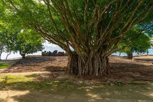 Taputapuatea Marae of Raiatea French polynesia Unesco archeological site photo