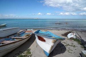 boat and pelicans La Paz Baja California Sur, Mexico beach promenade called Malecon photo