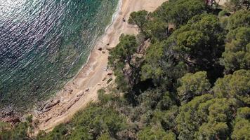 blå vatten strand cove av de medelhavs hav i cala giverola video