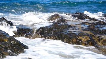 playa rocosa salvaje con olas del océano video