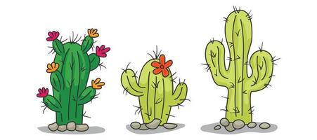 conjunto de colección ilustración vectorial gráfico de cactus o cactus en fondo blanco vector