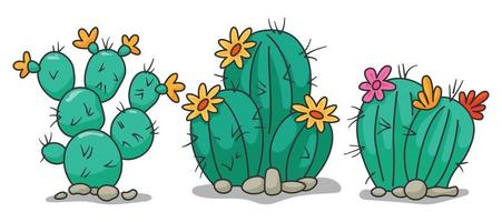 conjunto de colección ilustración vectorial gráfico de cactus o cactus en fondo blanco vector