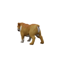 3d Bull Dog isolated png