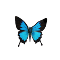 3d cobalt blue butterfly isolated png