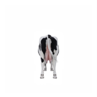 3d cow isolated png