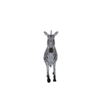 3d zebra geïsoleerd png