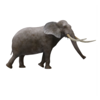 3D-Elefant isoliert png