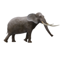 3d elefante isolato png