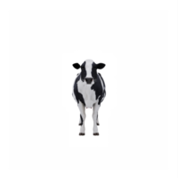 3d cow isolated png