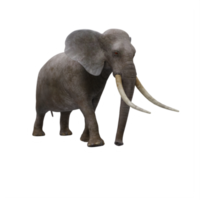 3D-Elefant isoliert png