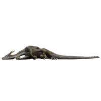 3D-Drache isoliert png