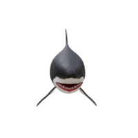gran tiburón blanco aislado png