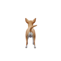 Chihuahua 3d isolé png