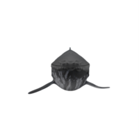 3d humpback whale isolated png