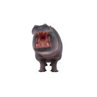 hippopotame 3d isolé png