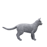 gato noruega aislado png