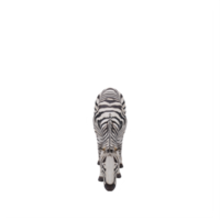 3D-afrikanisches Zebra isoliert png