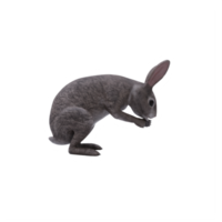 3d wild rabbit isolated png