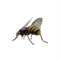 3d honey bee isolated png