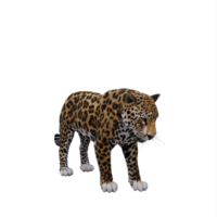 jaguar 3d isolado png